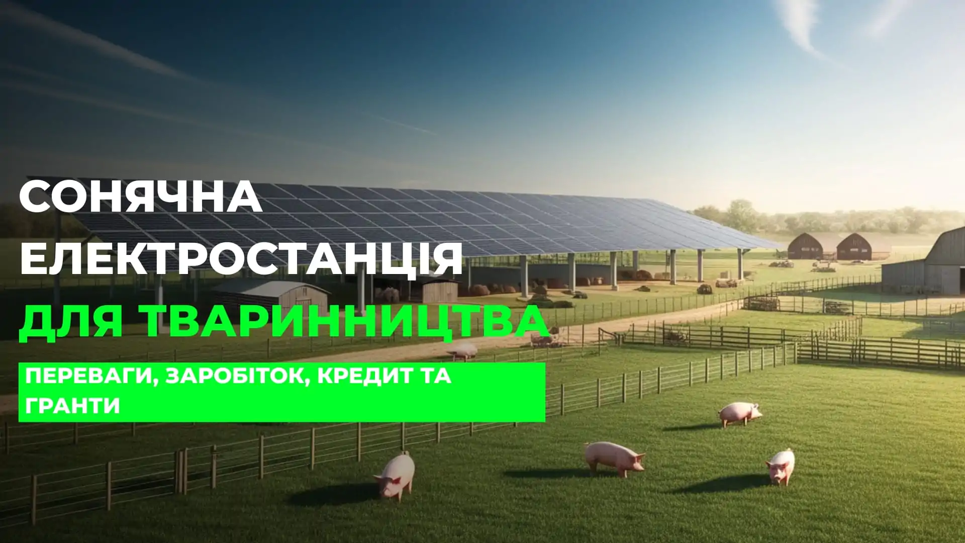Сонячна електростанція для тваринництва, свиноферм, корівників та птахівництва