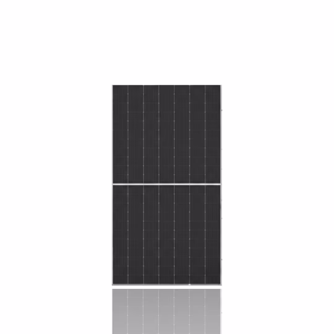 Trina Solar 620Вт сонячна панель TSM-NE19R-620W — основне фото