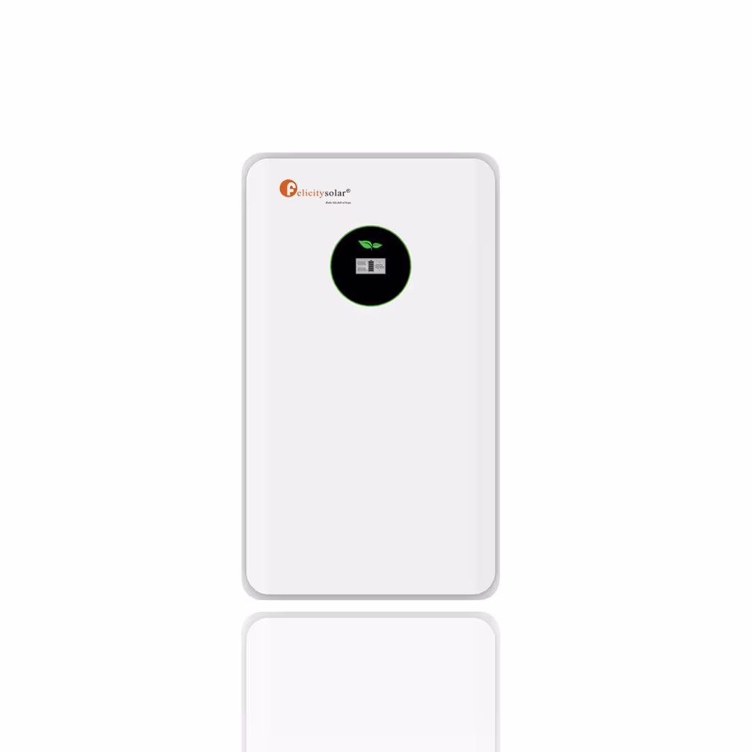 FELICITY 11,8 кВт/год 51,2В LiFePO4 акумулятор FLA48230-EU — основне фото